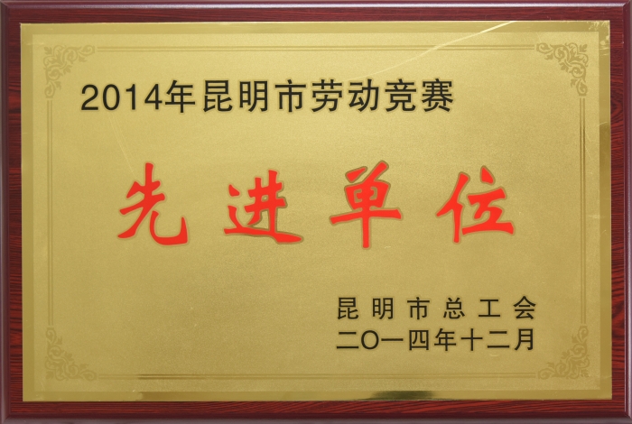 2014昆明市勞動競賽先進單位