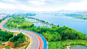 62341696354758926 62341696354758926